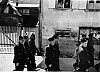 09300019.jpg 09300019.jpg